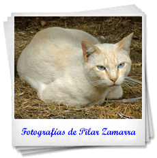 Fotografías de Pilar Zamarra
