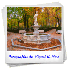 Fotografías de Miguel Ángel Ríos