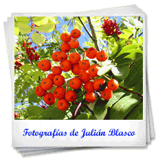 Fotografías de Julián Blasco