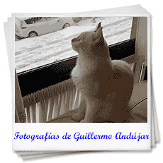 Fotografías de Guillemo Andújar