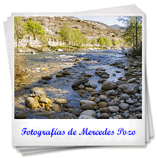 Fotografías de Mercedes Pozo