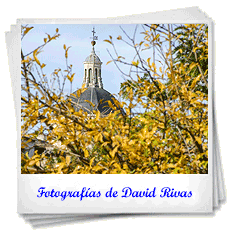 Fotografías de David Rivas