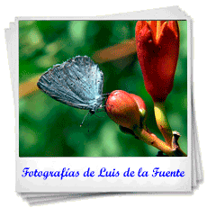 Fotografías de Luis de la Fuente