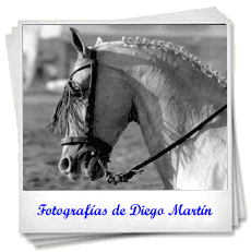 Fotografías de Diego Martín