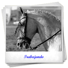 Caballo