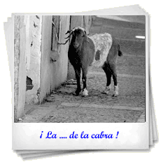 Cabra