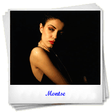 Modelos