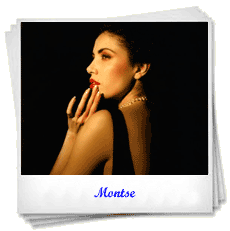 Modelos