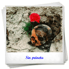 Huesos