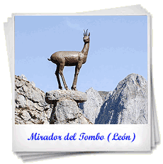 Rebeco